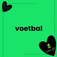 voetbal